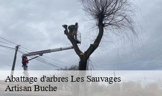 Abattage d'arbres-1