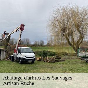 Abattage d'arbres-4