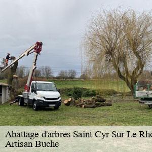 Abattage d'arbres-4