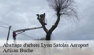 Abattage d'arbres-1