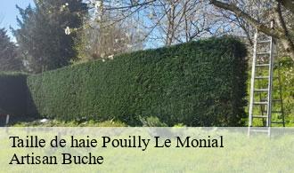 Taille de haie-1