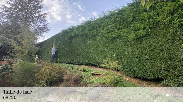 Taille de haie-8