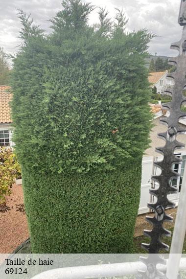 Taille de haie-2