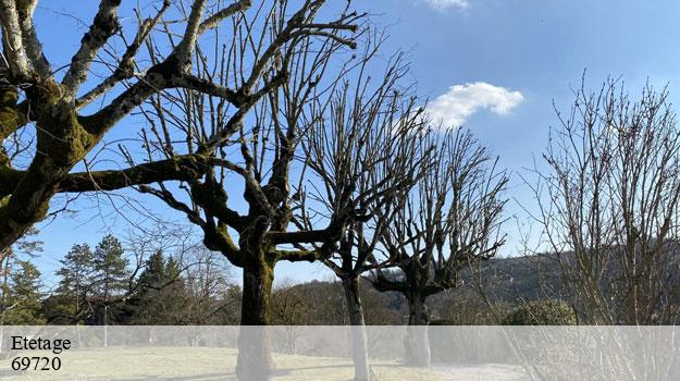 Etetage-8