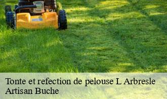 Tonte et refection de pelouse-1