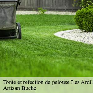 Tonte et refection de pelouse-4
