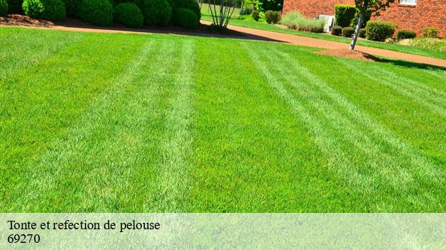 Tonte et refection de pelouse-8