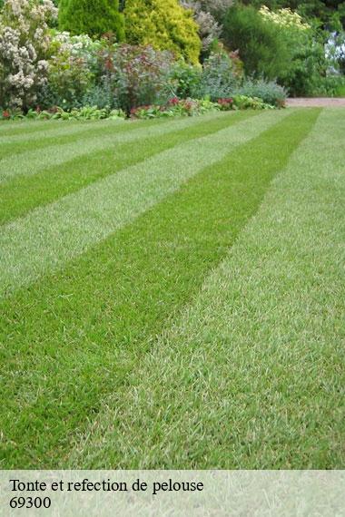 Tonte et refection de pelouse-2