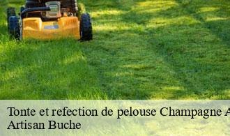 Tonte et refection de pelouse-1