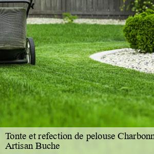 Tonte et refection de pelouse-4