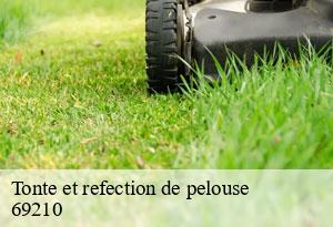 Tonte et refection de pelouse-5