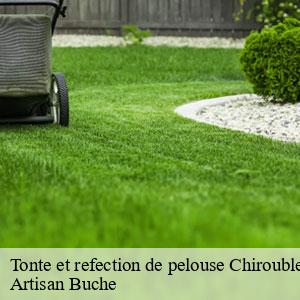 Tonte et refection de pelouse-4