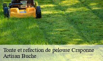 Tonte et refection de pelouse-1