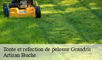 Tonte et refection de pelouse-1