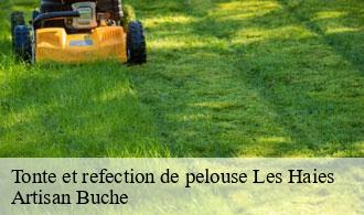 Tonte et refection de pelouse-1