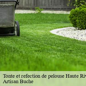 Tonte et refection de pelouse-4