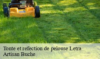 Tonte et refection de pelouse-1