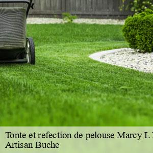 Tonte et refection de pelouse-4