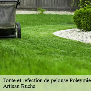 Tonte et refection de pelouse-4