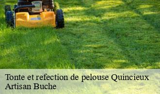 Tonte et refection de pelouse-1