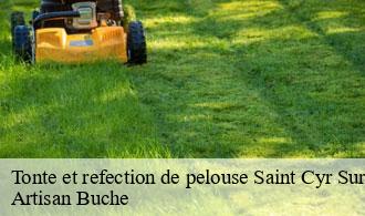 Tonte et refection de pelouse-1