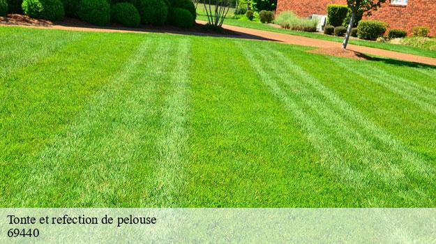 Tonte et refection de pelouse-8