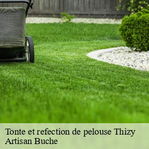 Tonte et refection de pelouse-4