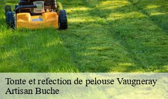 Tonte et refection de pelouse-1