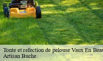Tonte et refection de pelouse-1