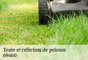 Tonte et refection de pelouse-5