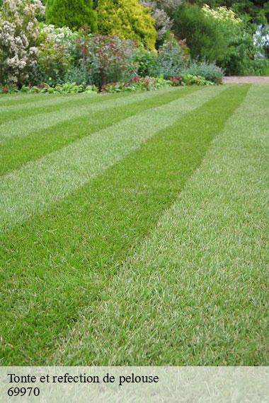 Tonte et refection de pelouse-2