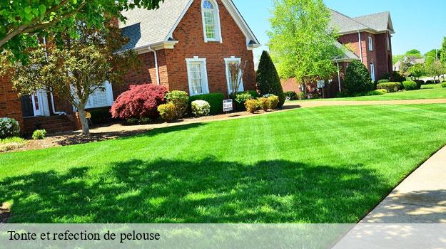 Tonte et refection de pelouse-9
