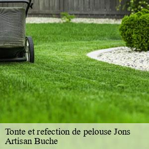 Tonte et refection de pelouse-4