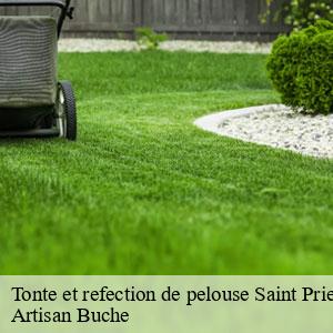 Tonte et refection de pelouse-4