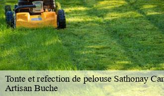 Tonte et refection de pelouse-1