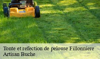 Tonte et refection de pelouse-1