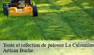 Tonte et refection de pelouse-1