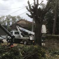 Elagueur 69